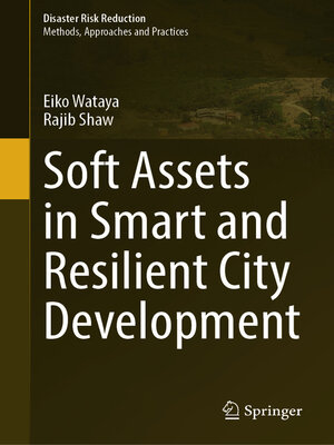 cover image of Soft Assets in Smart and Resilient City Development